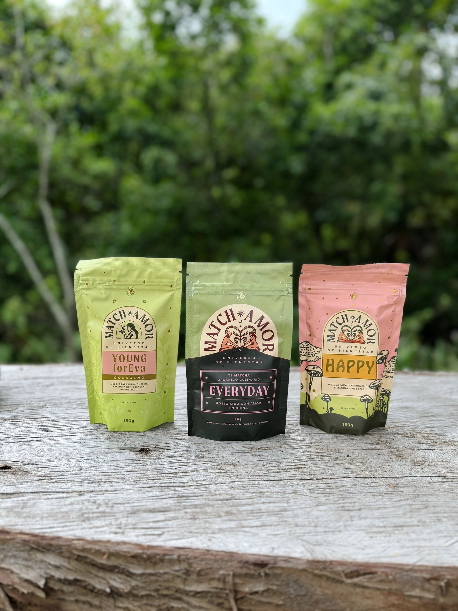 Matcha e infusiones en polvo para preparar bebidas calientes y frías