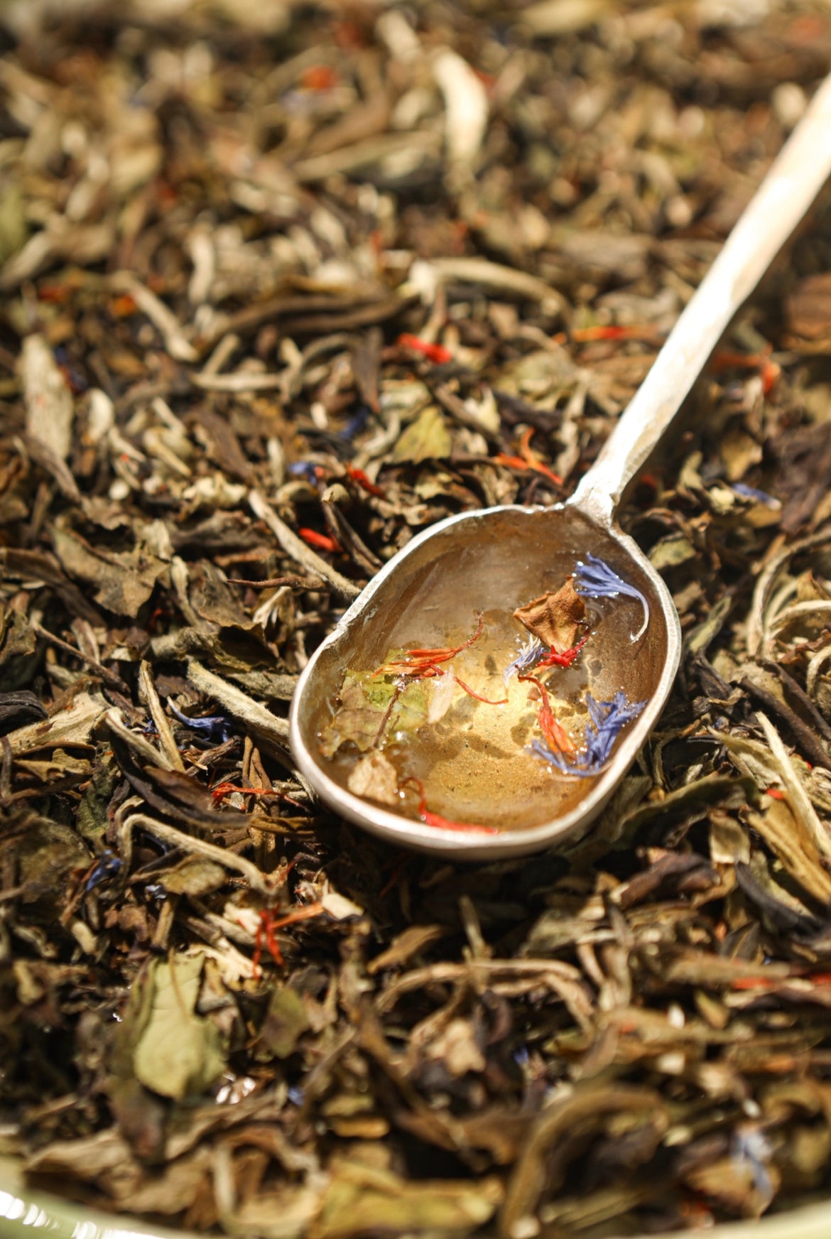 Té Blanco Beauty 🥥